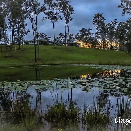 Linga Longa Spiritual Retreat Apartment Curra Bagian luar foto